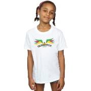 T-shirt enfant Harry Potter BI21444