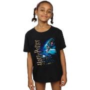 T-shirt enfant Harry Potter BI21470