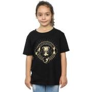 T-shirt enfant Harry Potter BI21547
