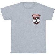 T-shirt enfant Harry Potter BI21677