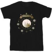 T-shirt enfant Harry Potter Hogwarts