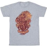 T-shirt enfant Harry Potter BI22021