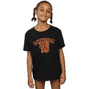 T-shirt enfant Harry Potter Gryffindor Sport Emblem