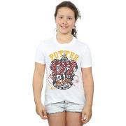 T-shirt enfant Harry Potter BI20576