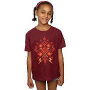 T-shirt enfant Harry Potter BI20926