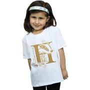 T-shirt enfant Harry Potter BI21284