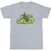 T-shirt Marvel Guardians Of The Galaxy I Am Groot