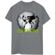 T-shirt Gremlins BI25875