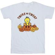 T-shirt enfant Dessins Animés Twick Or Tweat