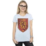 T-shirt Harry Potter BI23316