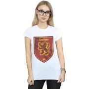 T-shirt Harry Potter BI23316