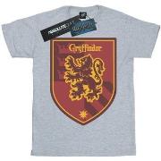 T-shirt Harry Potter BI26654