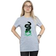 T-shirt Harry Potter BI26768