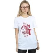 T-shirt Harry Potter Gryffindor