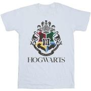 T-shirt enfant Harry Potter BI21744