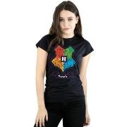 T-shirt Harry Potter BI23151