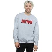 Sweat-shirt Marvel Ant-Man Movie Logo