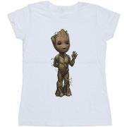 T-shirt Marvel I Am Groot