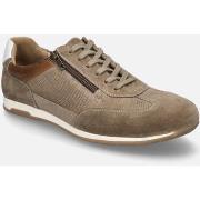 Ville basse Josef Seibel Colby 03, taupe-multi