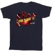 T-shirt enfant Dc Comics BI41093