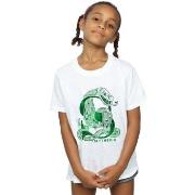 T-shirt enfant Harry Potter BI21280