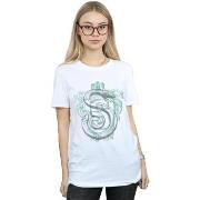 T-shirt Harry Potter BI27375