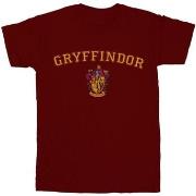 T-shirt Harry Potter BI27452