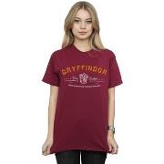 T-shirt Harry Potter Gryffindor Quidditch