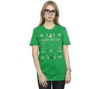 T-shirt Harry Potter BI26479