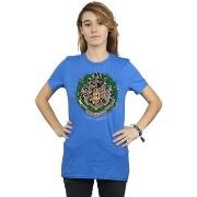 T-shirt Harry Potter BI26524