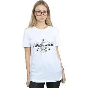 T-shirt Harry Potter Hogwarts First Year