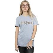 T-shirt Harry Potter Full Colour Logo