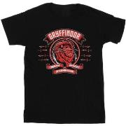 T-shirt Harry Potter Gryffindor