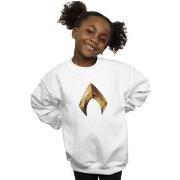 Sweat-shirt enfant Dc Comics BI6452