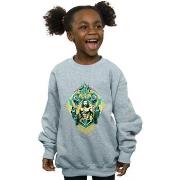 Sweat-shirt enfant Dc Comics BI6649