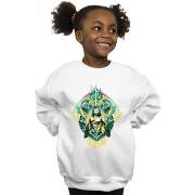 Sweat-shirt enfant Dc Comics BI6649