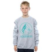 Sweat-shirt enfant Dc Comics Aquaman Aqua Logo