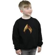 Sweat-shirt enfant Dc Comics BI6115