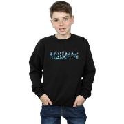 Sweat-shirt enfant Dc Comics Aquaman Text Logo