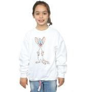 Sweat-shirt enfant Animaniacs BI5946