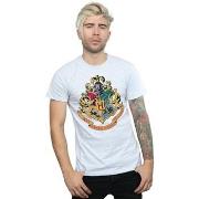 T-shirt Harry Potter BI30118