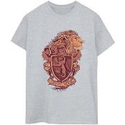 T-shirt Harry Potter Gryffindor