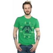 T-shirt Harry Potter BI29347