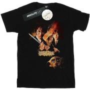 T-shirt Harry Potter BI30220