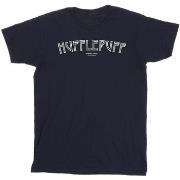 T-shirt Harry Potter BI30606