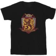 T-shirt Harry Potter Gryffindor