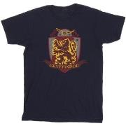 T-shirt Harry Potter BI30798