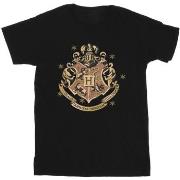 T-shirt Harry Potter BI30898