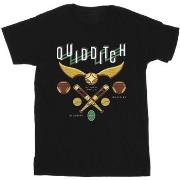 T-shirt Harry Potter Quidditch Bludgers Quaffles