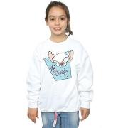 Sweat-shirt enfant Animaniacs BI5986